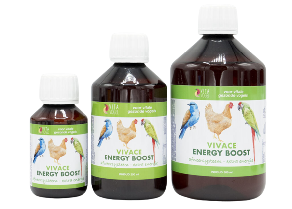 Vita Vogel - Vivace Energy Boost