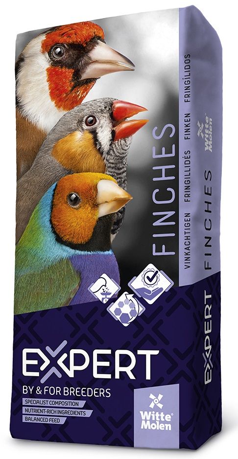 Witte Molen - Expert Putters