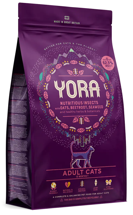 Yora - Cat Adult