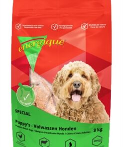 ENERGIQUE NR 4 SPECIAAL