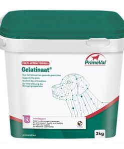 PRIMEVAL GELATINAAT HOND