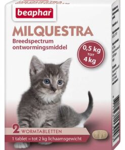 BEAPHAR MILQUESTRA KLEINE KAT / KITTEN