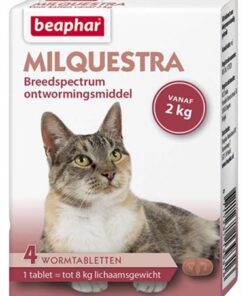 BEAPHAR MILQUESTRA KAT