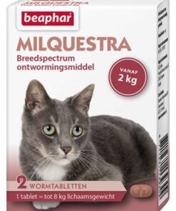 BEAPHAR MILQUESTRA KAT