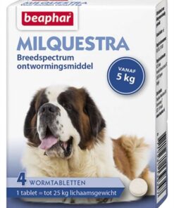 BEAPHAR MILQUESTRA HOND