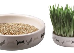 TRIXIE KATTENGRASZAAD 50GR IN KERAMIEK