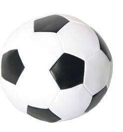 MARTIN ZACHTE VOETBAL