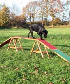 TRIXIE DOG ACTIVITY AGILITY HONDENLOOP