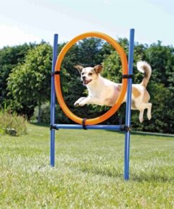 TRIXIE DOG ACTIVITY AGILITY RING BLAUW / ORANJE