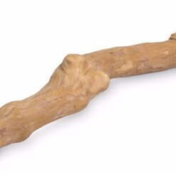 BUNNY NATURE KOFFIEHOUT