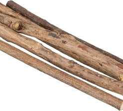 TRIXIE MATATABI KAUWSTAVEN