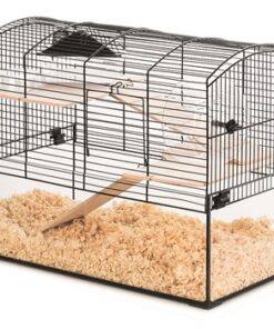 ZOLUX KNAAGDIERKOOI NEO PANAS ZWART