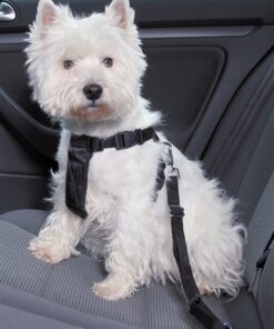 TRIXIE HONDENTUIG AUTO INCLUSIEF GORDEL ZWART