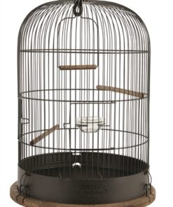 ZOLUX VOGELKOOI RETRO LISETTE