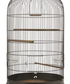 ZOLUX VOGELKOOI RETRO MARTHE