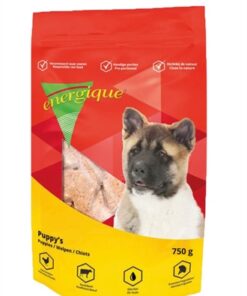 ENERGIQUE NR 2 PUPPY