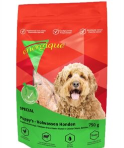 ENERGIQUE NR 4 SPECIAAL