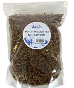 DE VRIES MEELWORM BLACK SOLDIER FLY