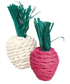 TRIXIE RADIJS EN RETTICH MET STRO