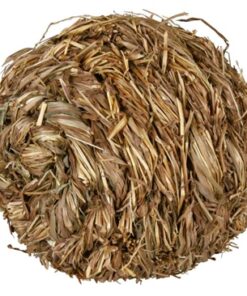 TRIXIE GRASBAL MET BEL