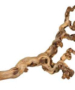 TRIXIE DRUIVENTAKKEN