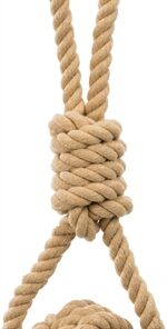 TRIXIE BE NORDIC FLOSTOUW MET TOUWBAL