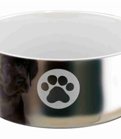 TRIXIE VOERBAK KERAMIEK POOT ZILVER / WIT