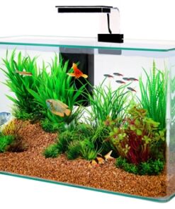 ZOLUX AQUARIUM CLEAR KIT ZWART