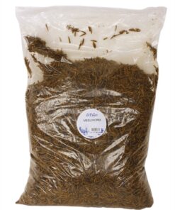 DE VRIES MEELWORM BLACK SOLDIER FLY