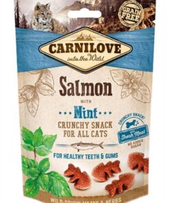 CARNILOVE CRUNCHY SNACK ZALM / MUNT