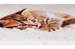 TRIXIE LIGMAT KAT TILLY BEIGE