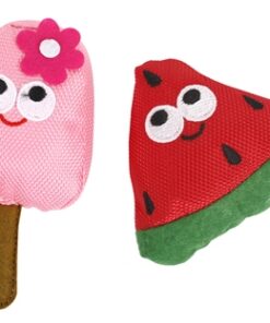 FOFOS SUMMER WATERMELOEN MET IJSJE