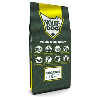 YOURDOG POEDELPOINTER VOLWASSEN