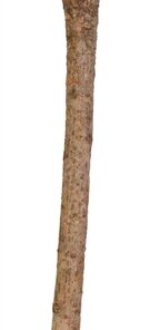 TRIXIE ZITSTOK Y-VORM SCHORSHOUT