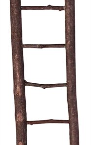 TRIXIE LADDER SCHORSHOUT