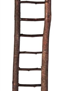 TRIXIE LADDER SCHORSHOUT