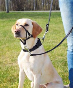 TRIXIE HONDENTUIG TOP TRAINER ANTI-TREK TUIG ZWART