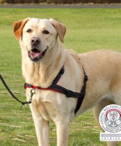 TRIXIE HONDENTUIG TRAININGSTUIG LEAD'N'WALK SOFT ZWART