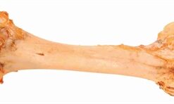 TRIXIE JUMBO-KAUWBOT 38 CM