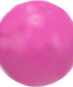 TRIXIE NATUURRUBBER BAL ZONDER GELUID ROZE