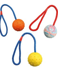 TRIXIE NATUURRUBBER BAL AAN KOORD ASSORTI