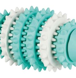 TRIXIE DENTA FUN NATUURRUBBER RUGBY MET MUNTSMAAK