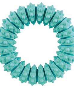 TRIXIE DENTA FUN NATUURRUBBER RING MET MUNTSMAAK