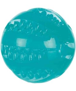 TRIXIE DENTA FUN TPR BAL MET MUNTSMAAK