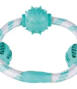 TRIXIE DENTA FUN KOORDRING MET NATUURRUBBER BALLEN MET MUNTSMAAK