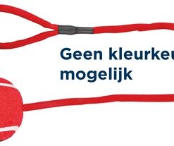 TRIXIE TENNISBAL AAN KOORD ASSORTI