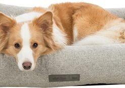 TRIXIE VITAL HONDENMAND NOAH HOEKIG LICHTGRIJS