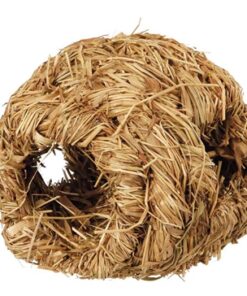 TRIXIE NEST MUIS GRAS