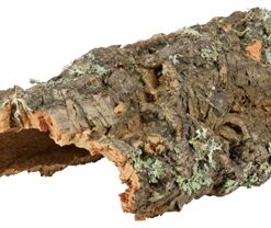 TRIXIE REPTILAND KURKPLAAT