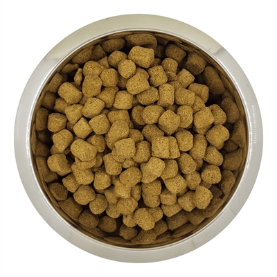 YOURDOG CHIEN FRANÇAIS BLANC ET ORANGE SENIOR